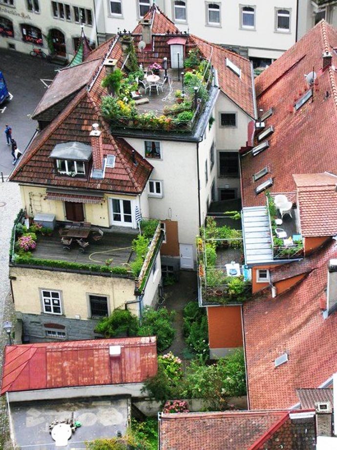 Сад на крыше дома