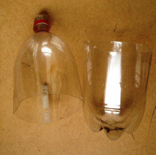 Рассада своими руками - поделки из пластиковых бутылок (15)