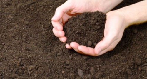 Состав почвы - определение PH почвы (1)