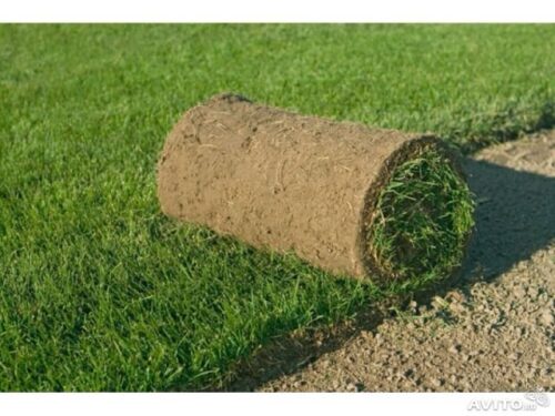 Как постелить рулонный газон. Выбор материала